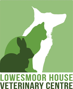 Lowesmoor Vets logo