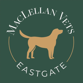 MacLellan Vets Eastgate logo