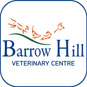 Barrow Hill Vets, Hythe logo