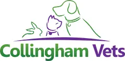 Collingham Vets logo