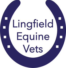 Lingfield Equine Vets - Lingfield East logo