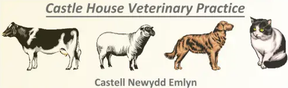 Castle House Vet Practice logo