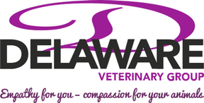 Delaware Vets - Castle Cary logo