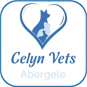 Celyn Vets logo