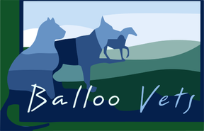 Balloo Vets logo