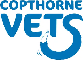 Copthorne Vets logo