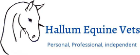 Hallum Equine Vets logo