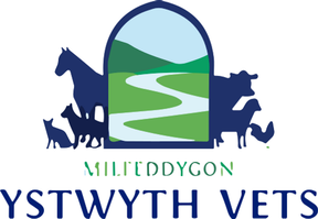 Ystwyth Vets logo
