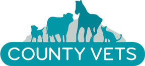 County Vets - Ayr logo