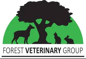 Forest Vets - Swansea logo