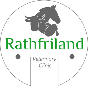 Rathfriland Veterinary Clinic logo