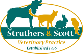 Struthers & Scott logo