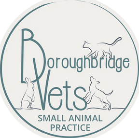 Boroughbridge Vets logo