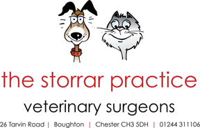 The Storrar Practice logo