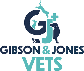 Gibson & Jones Vets - Llanelli logo