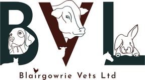 Blairgowrie Vets logo
