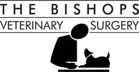 Bishops Vets - Hatfield logo