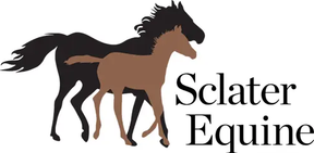 Sclater Equine Vets logo