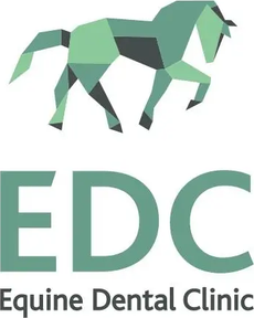 Equine Dental Clinic logo