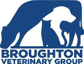 Broughton Veterinary Group - Broughton Astley logo