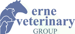 Erne Veterinary Group - Enniskillen logo