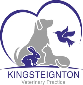 Kingsteignton Veterinary Clinic logo