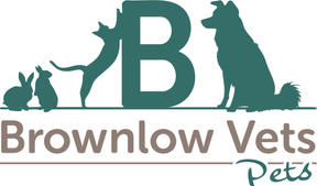 Brownlow Vet Group - Ellesmere logo