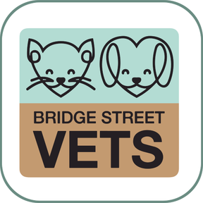 Bridge Street Veterinary Practice, Driffield logo