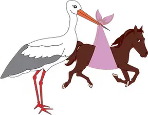 Equine Reproductive Services logo