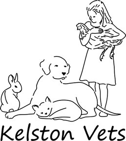 Kelston Vets logo