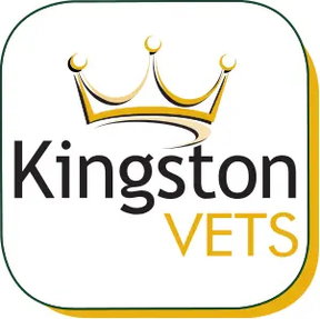 Kingston Vets - Anlaby logo