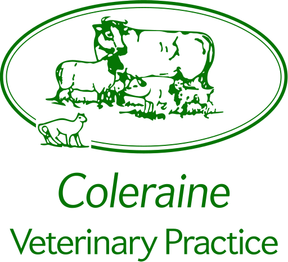 Coleraine Vets logo