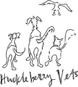 Huckleberry Vets logo