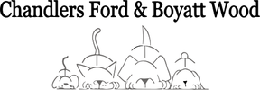 Chandlers Ford Vets - Boyatt Wood logo