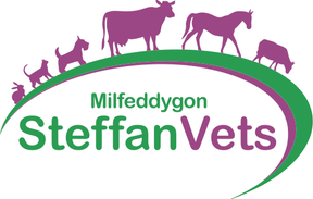 Steffan Vets - Lampeter logo