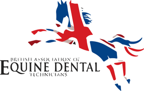 Sally Kingsley Equine Dentistry logo