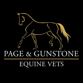PG Equine Vets logo