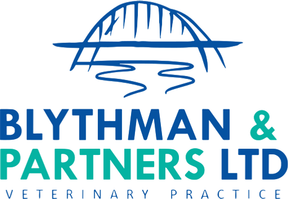 Blythman and Partners - Gateshead logo