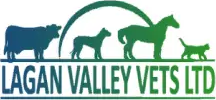 Lagan Valley Vets - Dromore logo