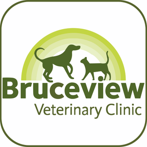 Bruceview Vet Clinic logo
