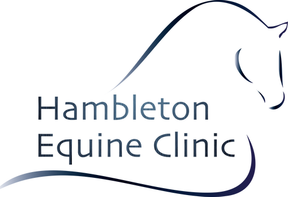 Hambleton Equine Clinic logo