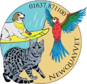 Newquay Vet logo