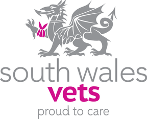 South Wales Vets - Abertillery logo