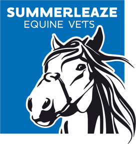 Summerleaze Equine Vets logo