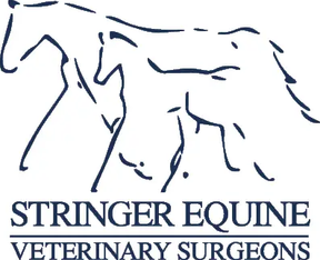 Stringer Equine logo
