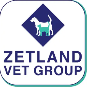 Zetland Vets - Backwell logo