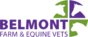 Belmont Farm and Equine Vets - Bromyard logo