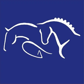 Equine Veterinary Performance logo
