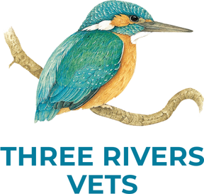 Three Rivers Vet Group - Norwich logo