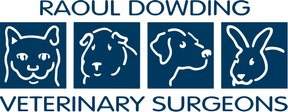 Dowding Vets - Bawtry logo